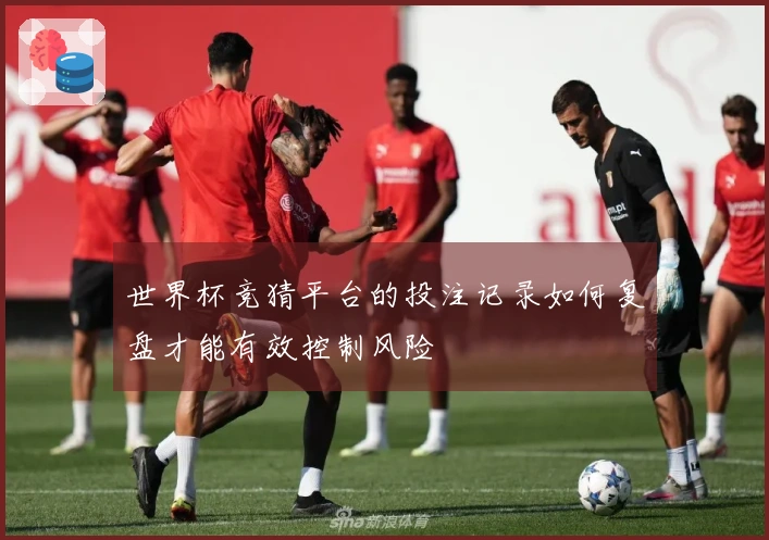 世界杯竞猜平台的投注记录如何复盘才能有效控制风险