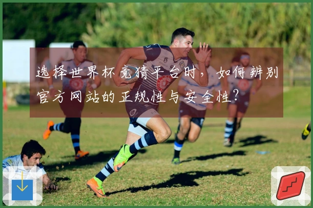 选择世界杯竞猜平台时，如何辨别官方网站的正规性与安全性？