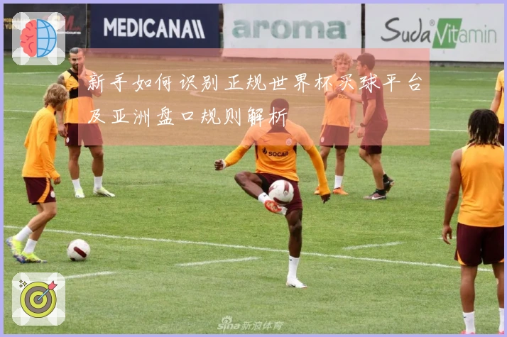 新手如何识别正规世界杯买球平台及亚洲盘口规则解析