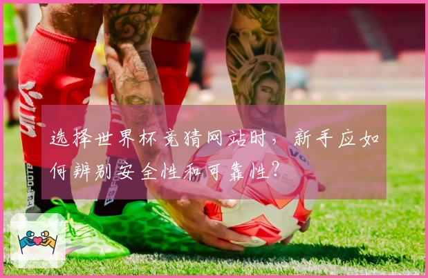 选择世界杯竞猜网站时，新手应如何辨别安全性和可靠性？