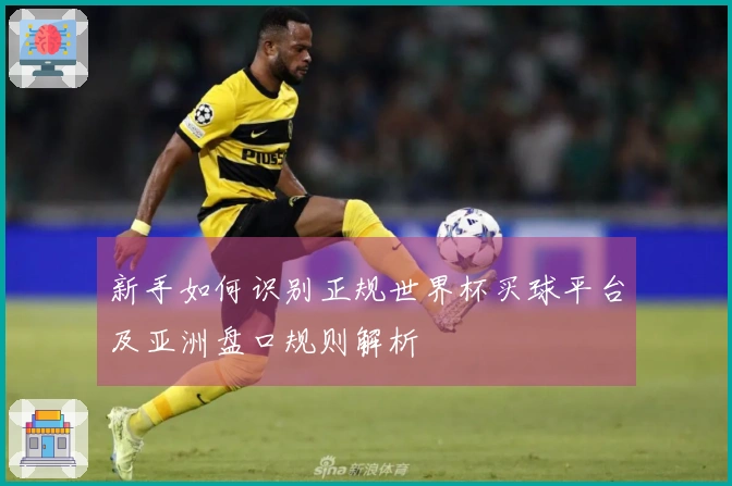 新手如何识别正规世界杯买球平台及亚洲盘口规则解析