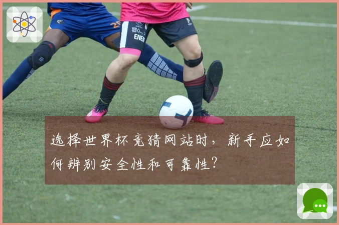选择世界杯竞猜网站时，新手应如何辨别安全性和可靠性？