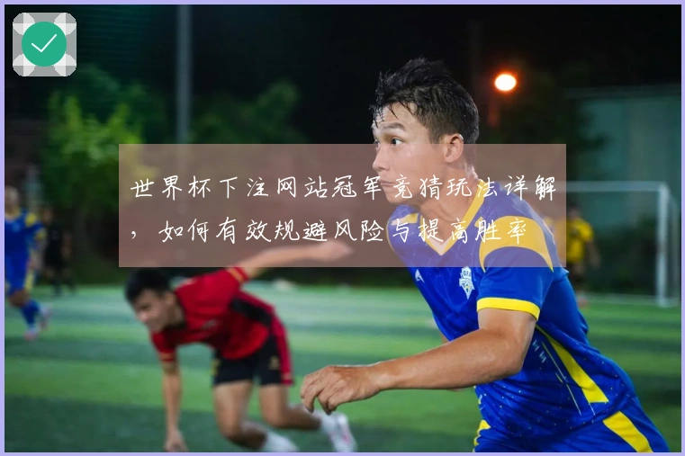 世界杯下注网站冠军竞猜玩法详解，如何有效规避风险与提高胜率